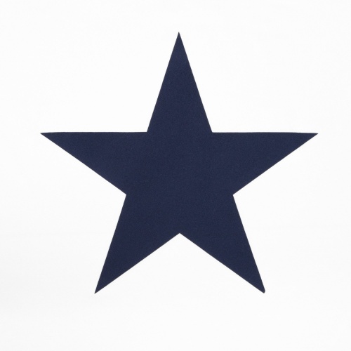 Darcey White Top with Navy Star logo by Chalk UK